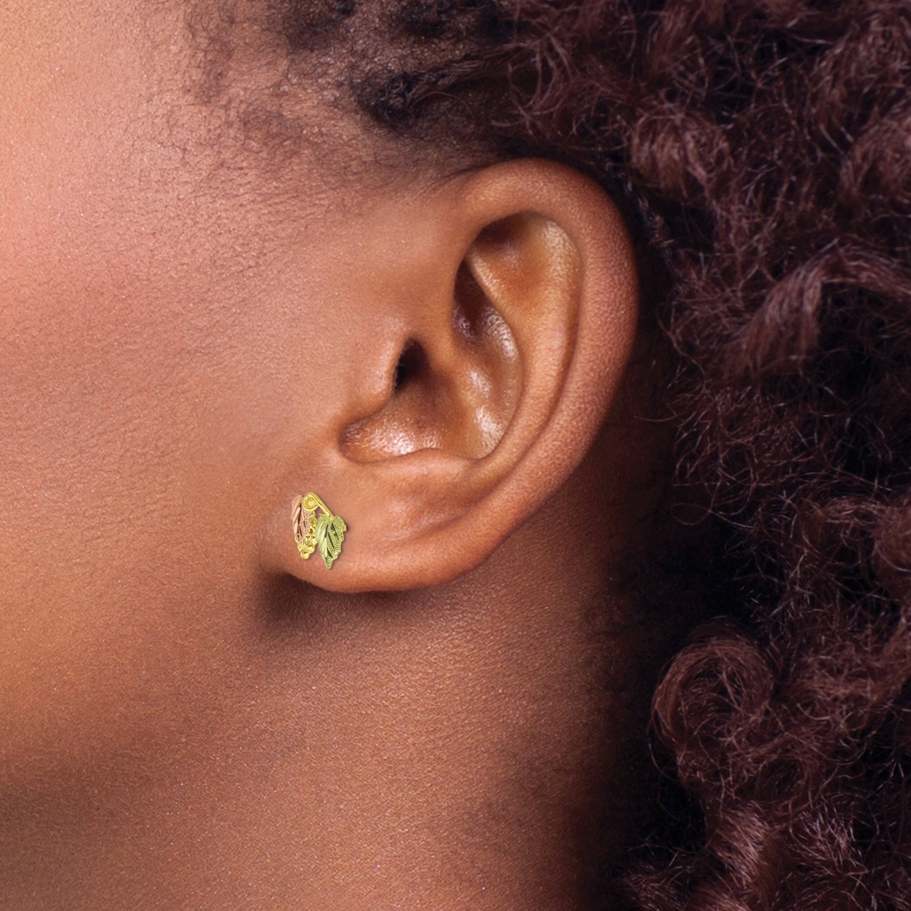 10K Tri-Color Black Hills Gold Button Earrings with Polished Finish