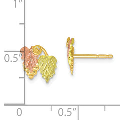 10K Tri-Color Black Hills Gold Button Earrings with Polished Finish
