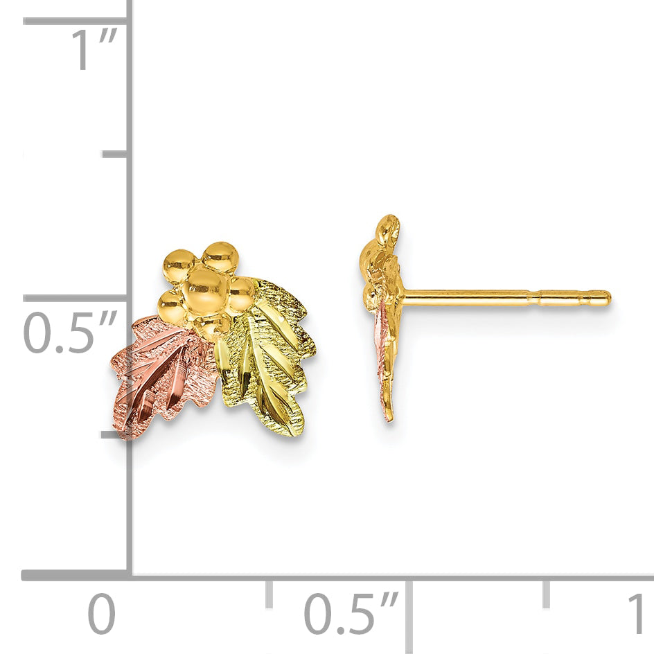 10k Tri-color Black Hills Gold Post Earrings