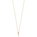 10K Tri-Color Black Hills Gold Necklace with Diamond Accent Elegant Charm