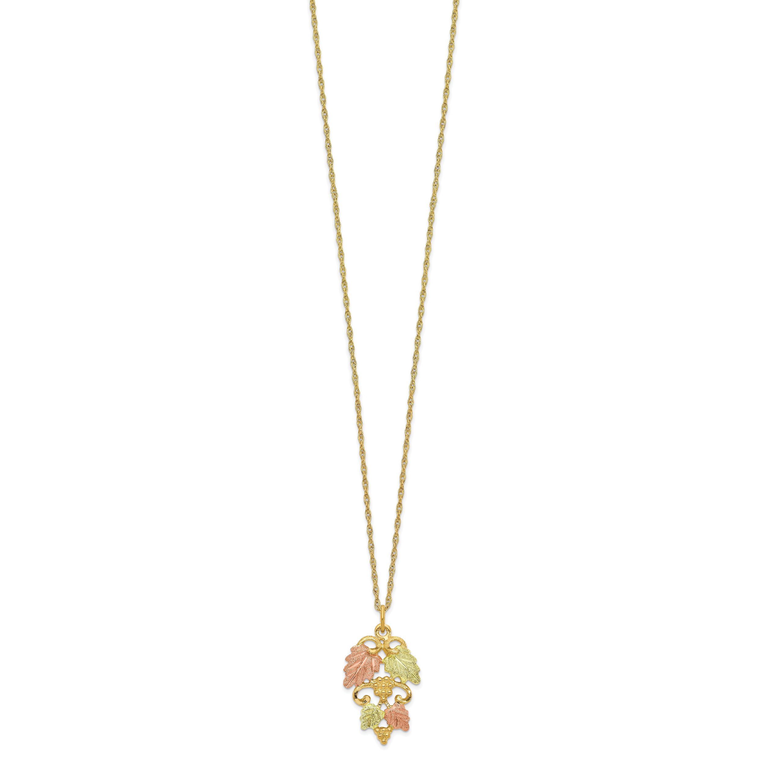 10K Tri-Color Gold Necklace with Themed Pendant by Sophia Jewelers