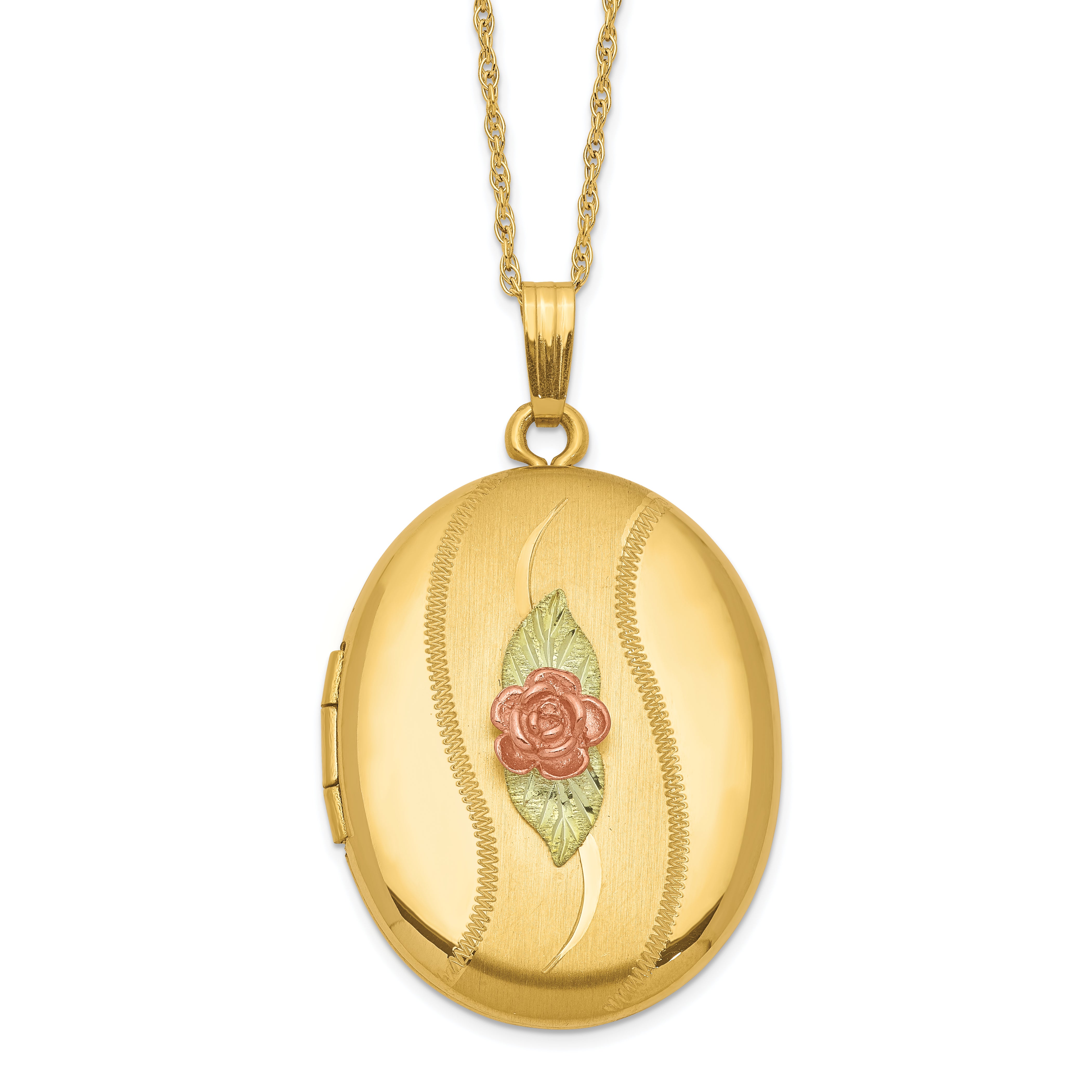 10K w/ 12k Accents and 14k Gold-filled Chain Black Hills Locket Main image