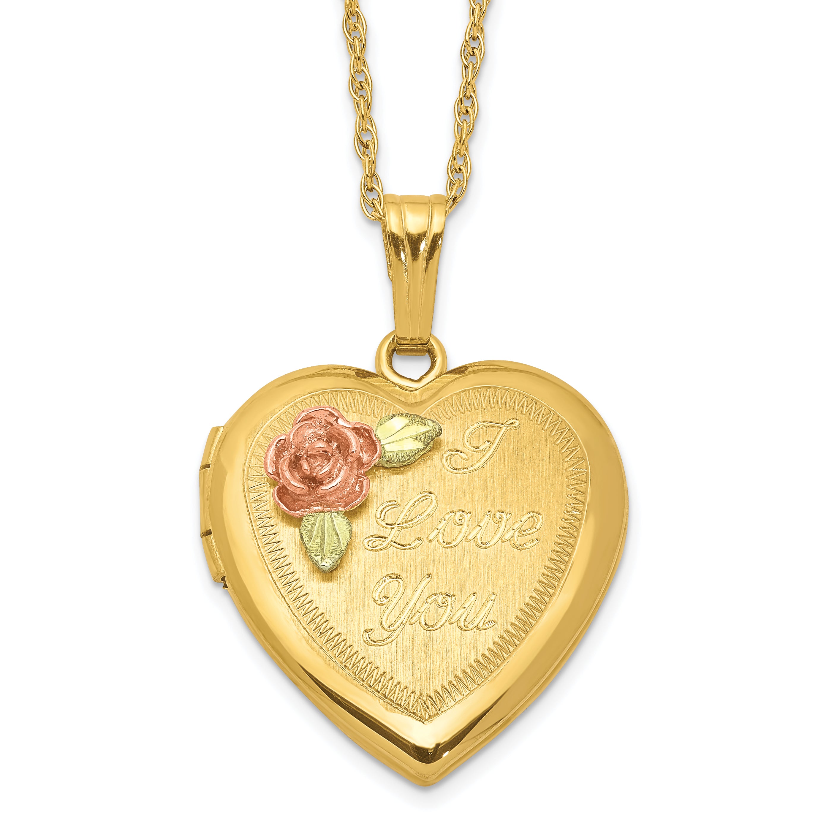 10k w/ 12k Accents and 14k Gold-filled Chain Black Hills Locket Main image