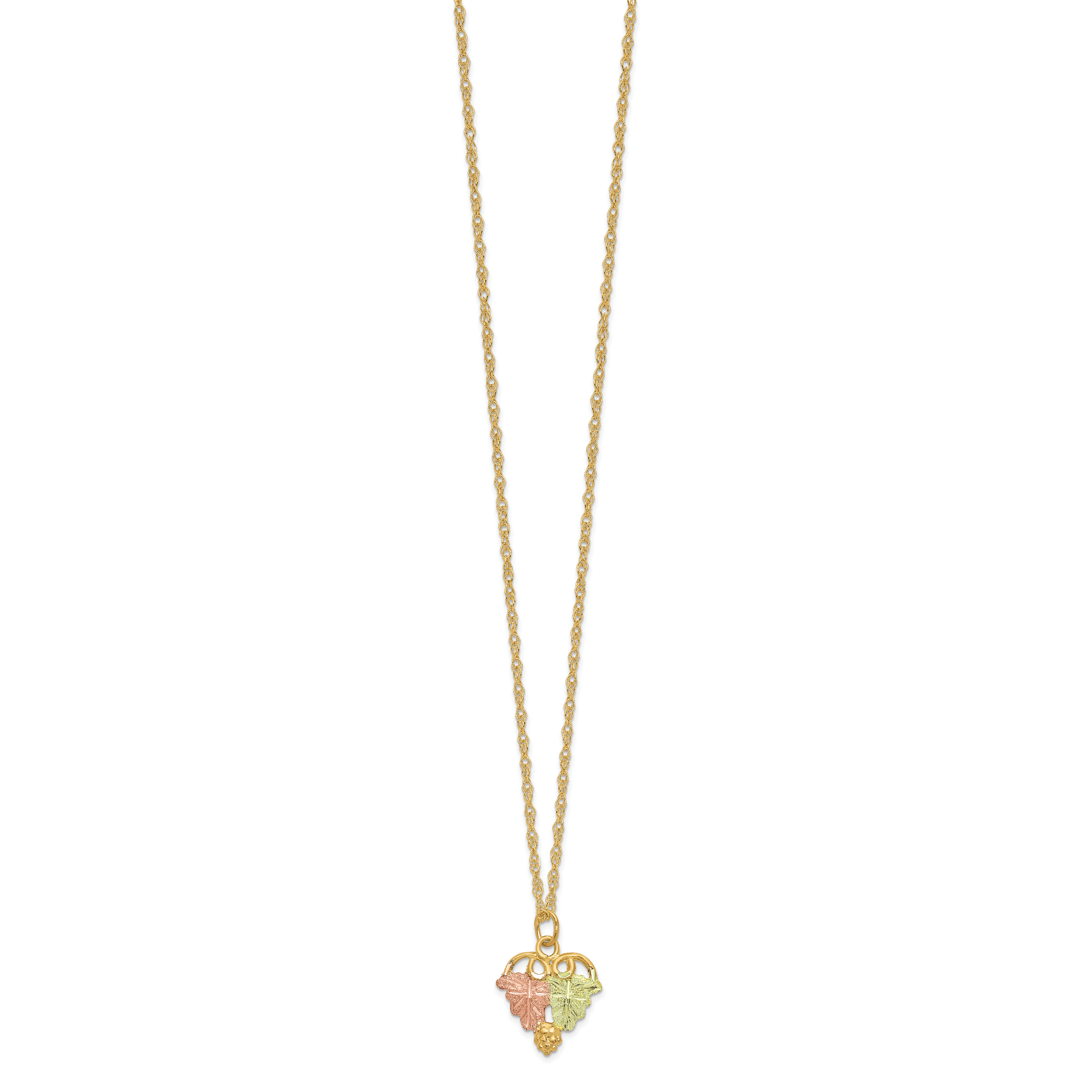 10K Tri-Color Black Hills Gold Polished Ropa Necklace Secondary image