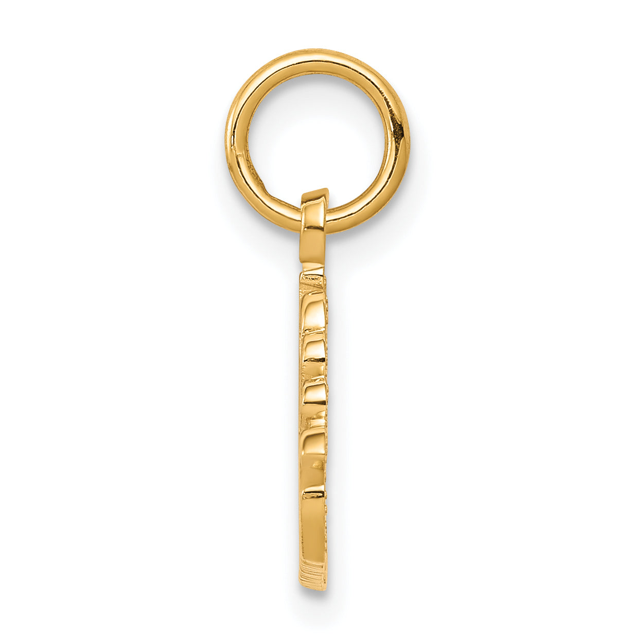 10K Gold Swimming Theme Pendant with Polished Solid Design by Sophia Jewelers Secondary image