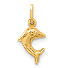 10k Dolphin Charm