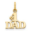 10K #1 DAD Charm