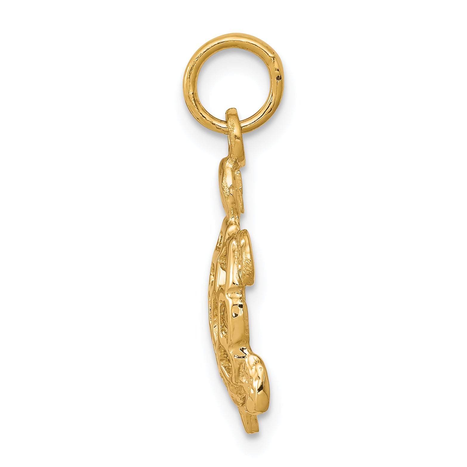 10K Gold Turtle Charm with Polished Finish Elegant, Solid Design