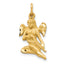 10k Angel Charm
