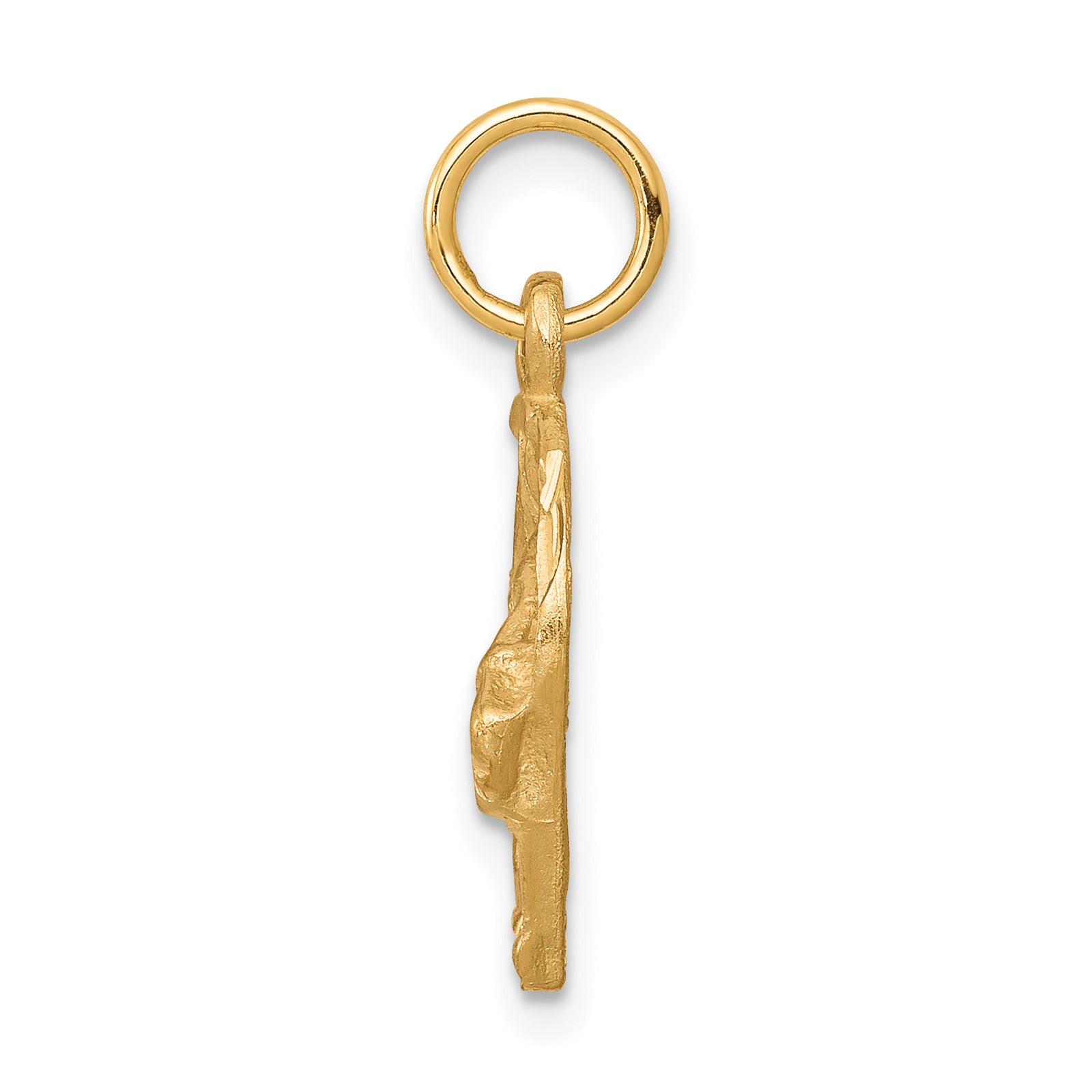 10K Gold Horsehead in Horseshoe Charm with Polished Solid Finish