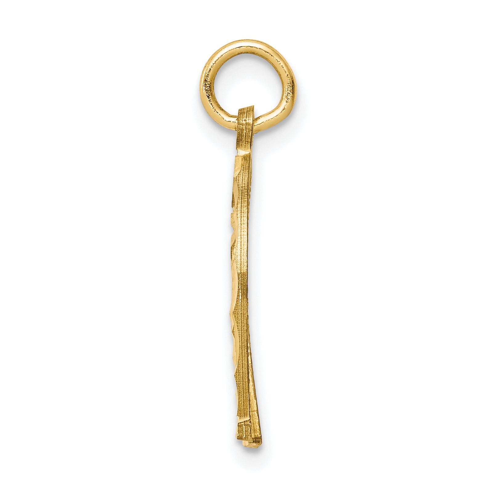 10K Gold Polished Horseshoe Charm with Solid Design Secondary image
