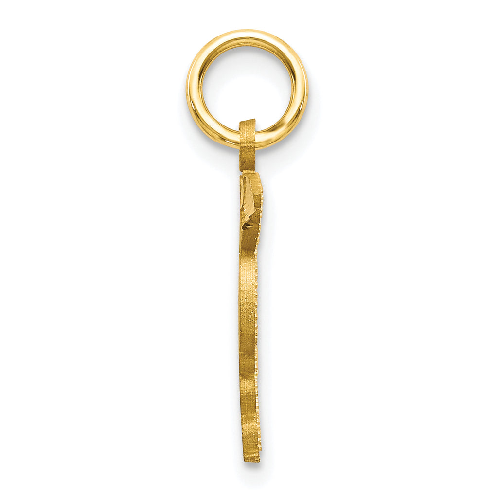 10K Solid Gold Doctor of Medicine MD Charm with Polished Finish Elegant, Meaningful Gift