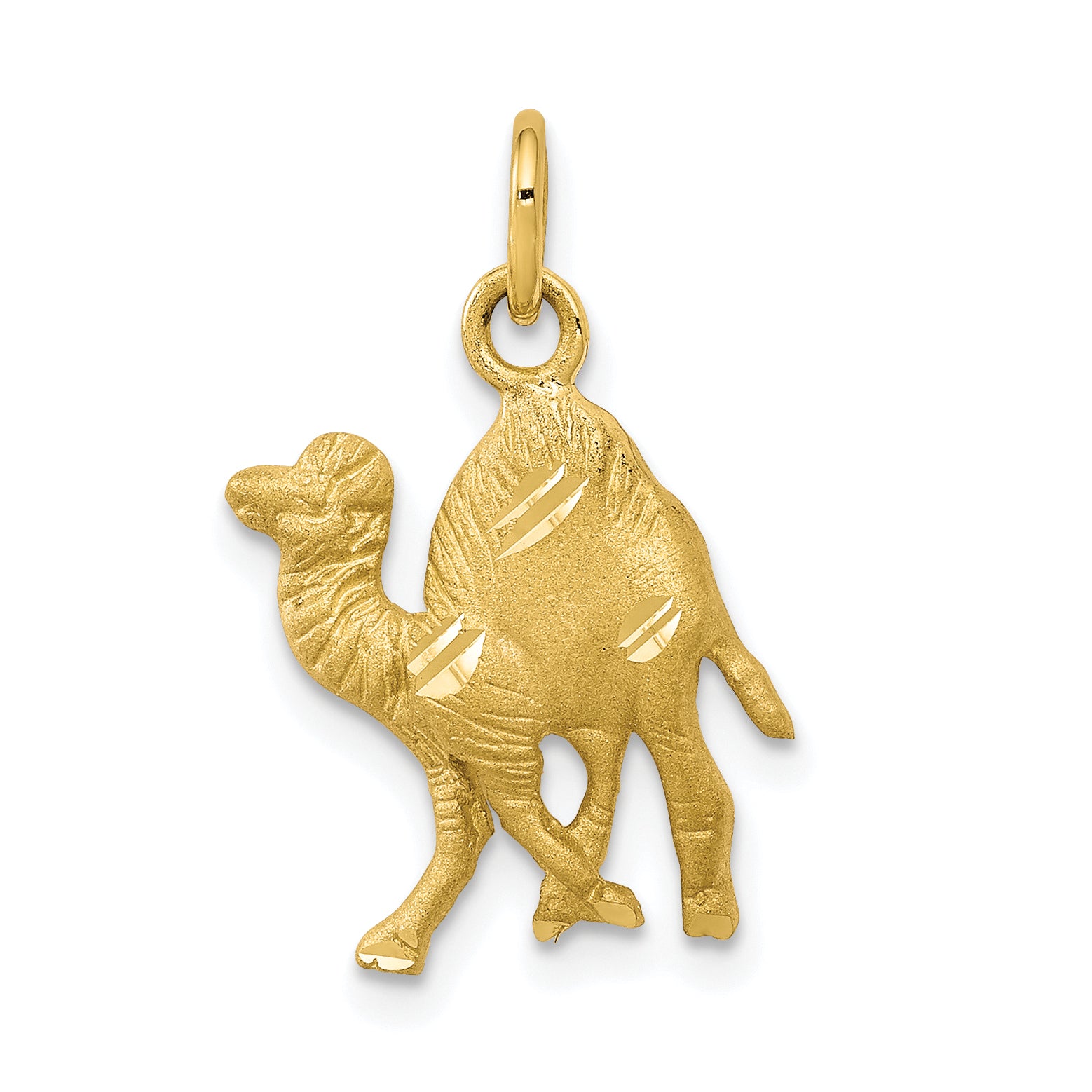 10k Camel Charm Main image