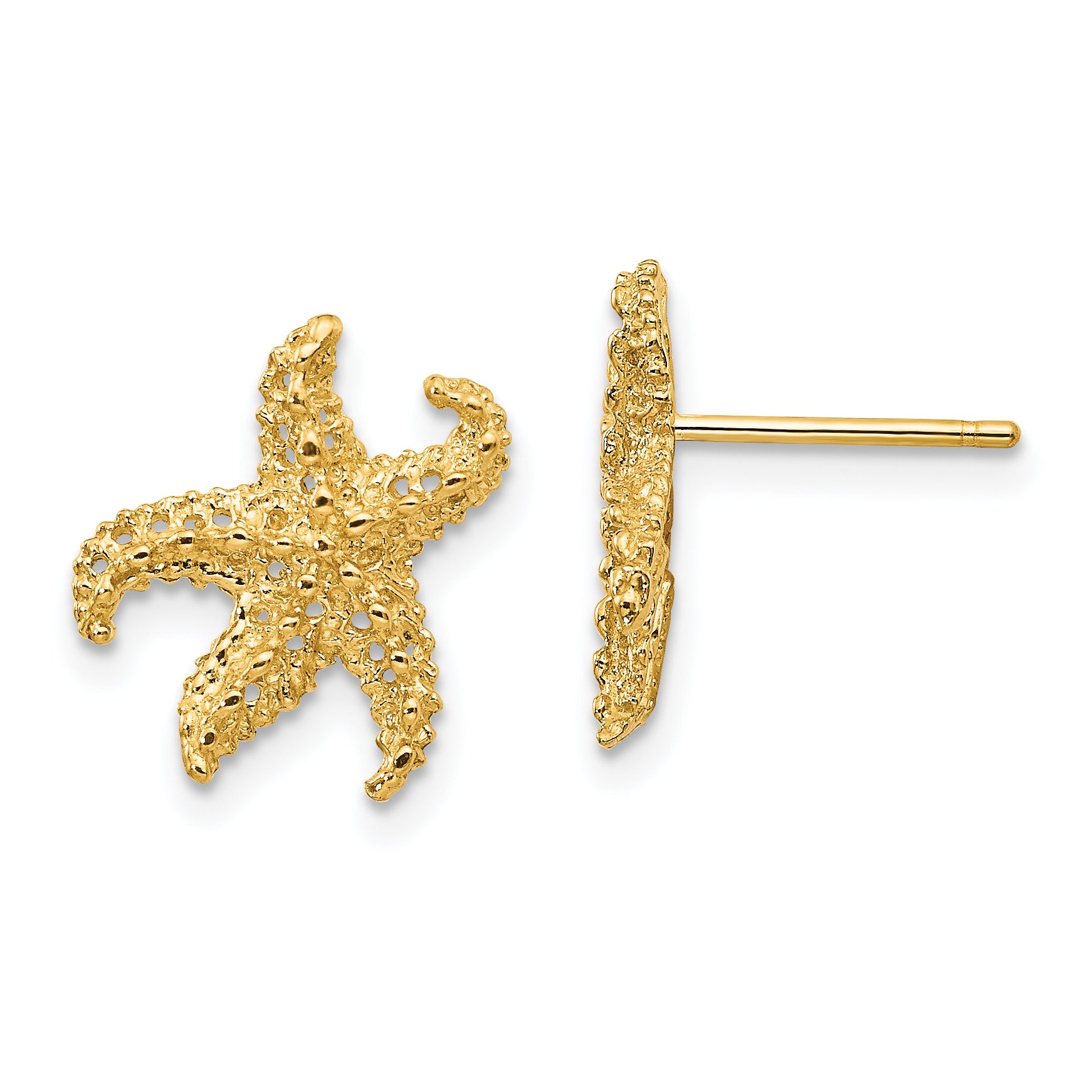 10k Starfish Earrings