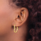 Heart Shape Hoop Earrings in 10K Yellow Gold
