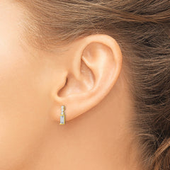 10K Polished CZ Earrings