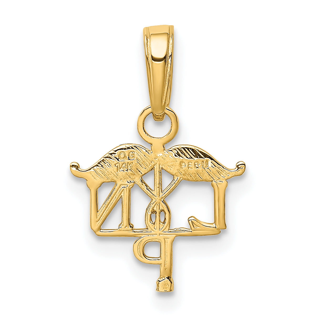 10K LPN Symbol Pendant