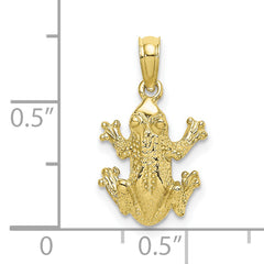 10k Textured Top View FROG Charm