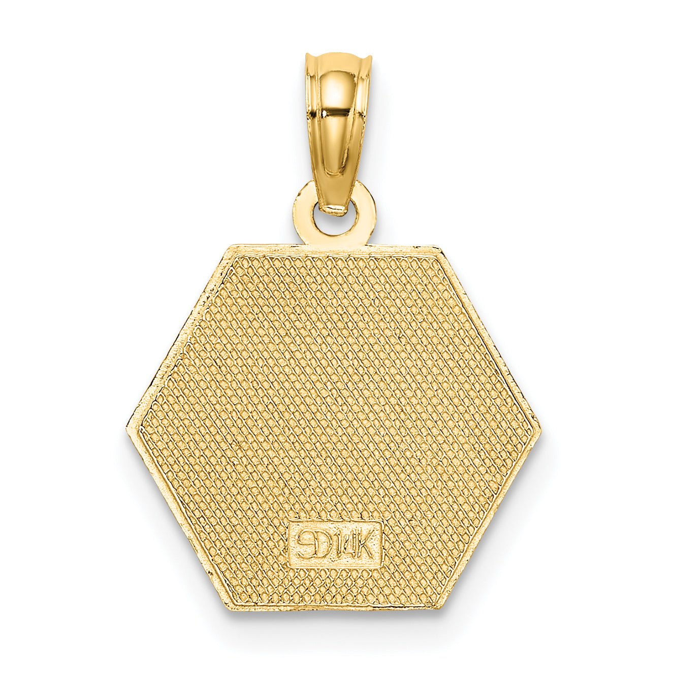 10k Medical Disc Pendant