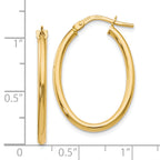 10K Gold Polished Oval Hoop Earrings with Hinged Wire Closure