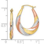 Scalloped Oval Hoop Earrings in 10K Yellow Gold