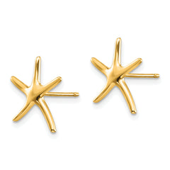 10k Starfish Earrings