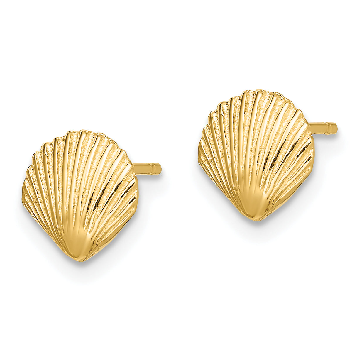 10K Scallop Shell Post Earrings