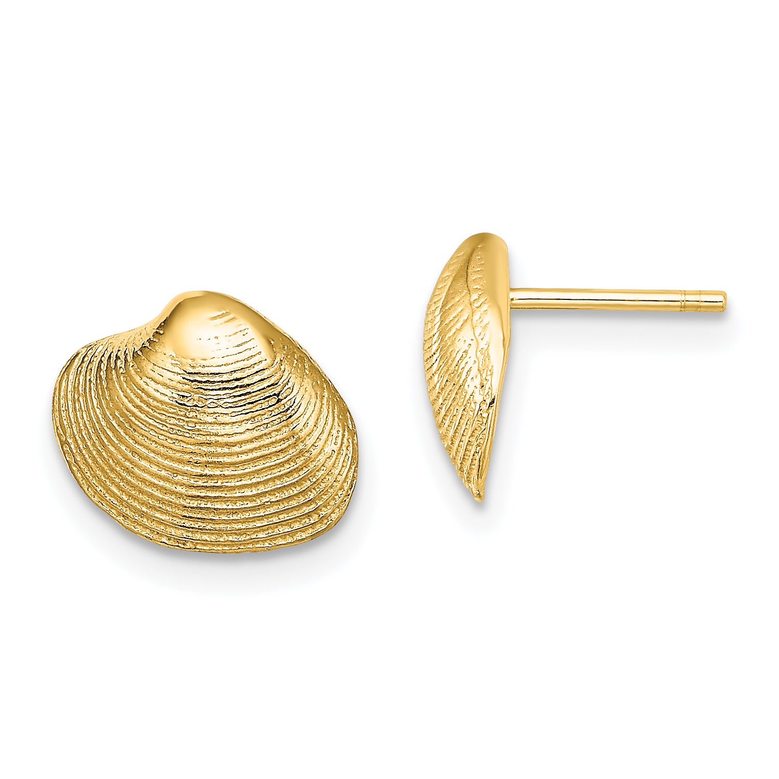 10K Clam Shell Post Earrings