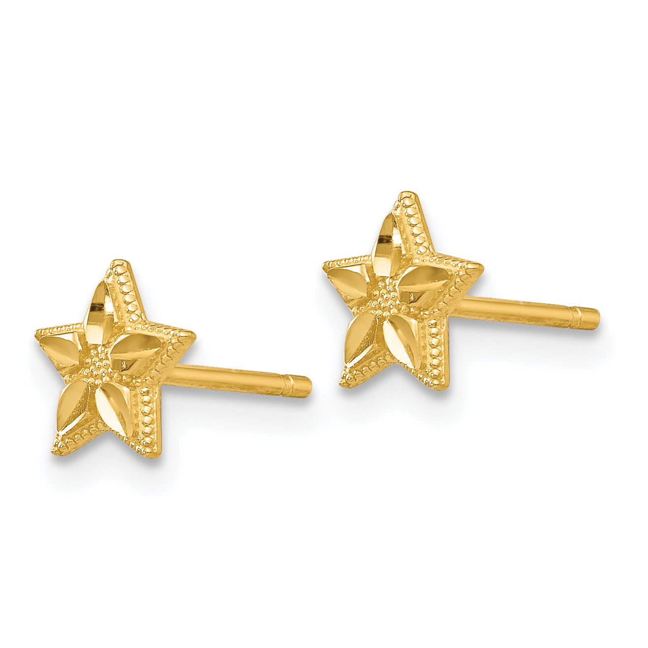 10k Polished & D/C Star Post Earrings