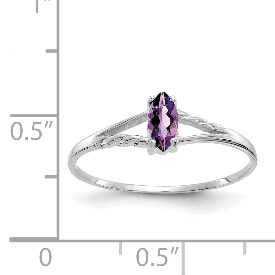 10k White Gold Polished Genuine Amethyst Birthstone Ring