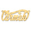 10K Polished Diamond-cut Name Plate