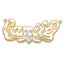 10K 3D Two-tone Diamond-cut Name Plate
