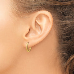 10k 2mm Satin Diamond-cut Endless Hoop Earrings