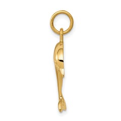10k Dolphin Charm