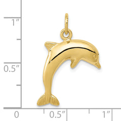10k Dolphin Charm