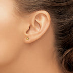 14K Gold November Birthstone Yellow Crystal Flower Earrings for Women