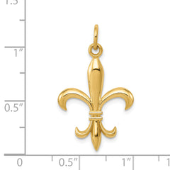 14K Gold Hollow Fleur De Lis Charm with Polished Finish 30mm