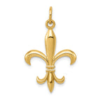 14k Hollow Fleur De Lis Charm