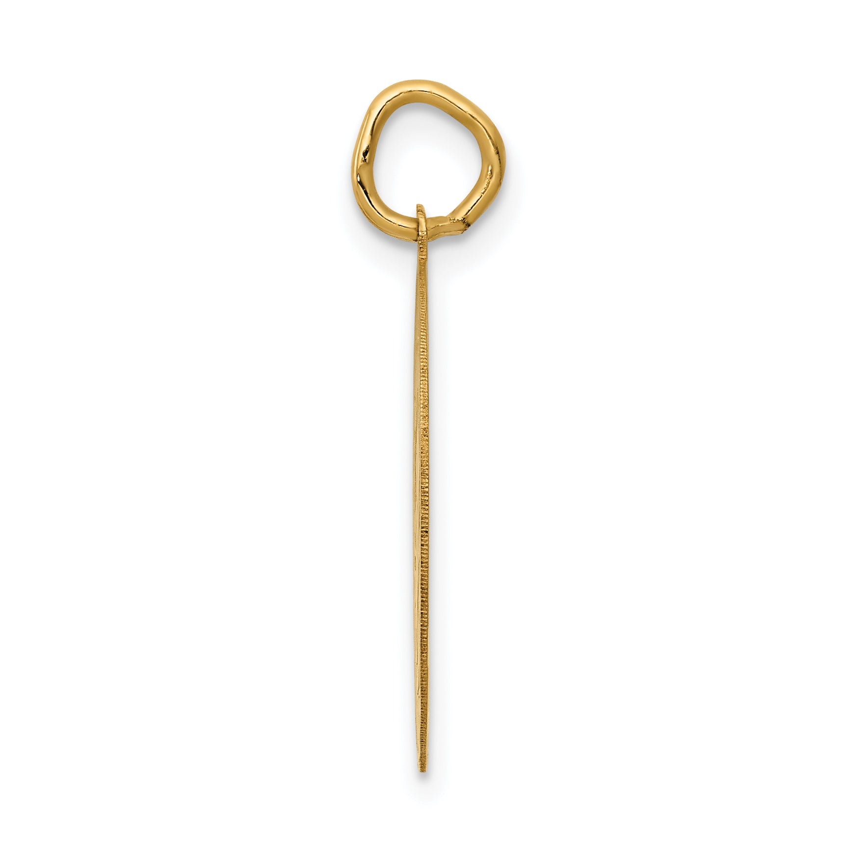 14K Gold Graduation Day Disc Charm with Flat Back Design Secondary image