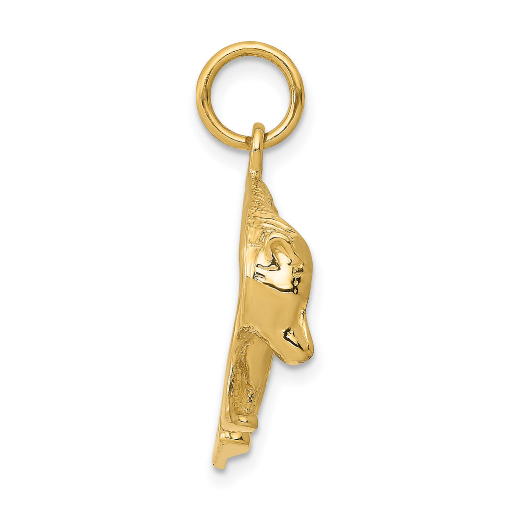 Sophia Jewelers 14K Gold Textured Bear Pendant for Men Polished Finish