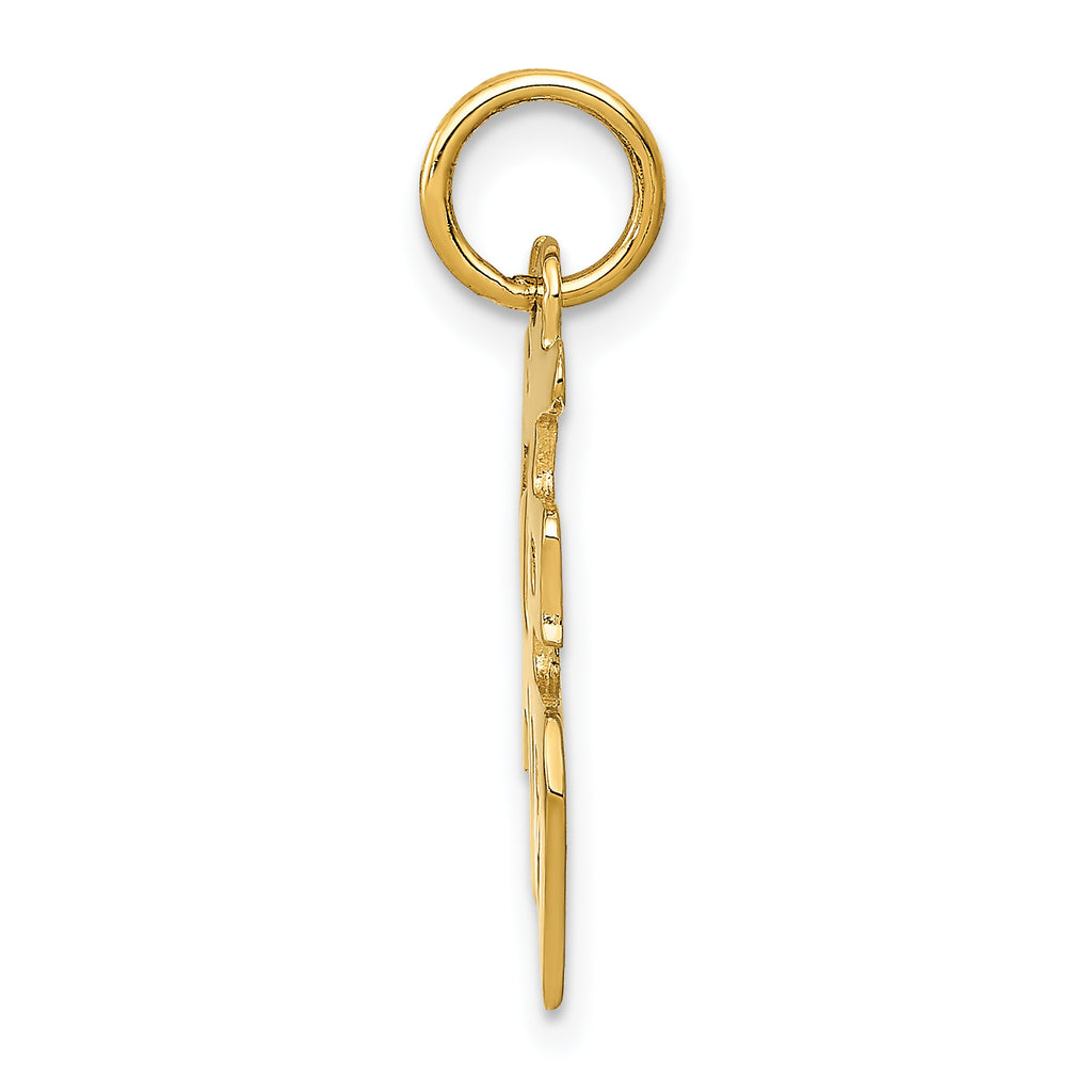 14K Yellow Gold Polished Good Luck Charm Pendant for Women