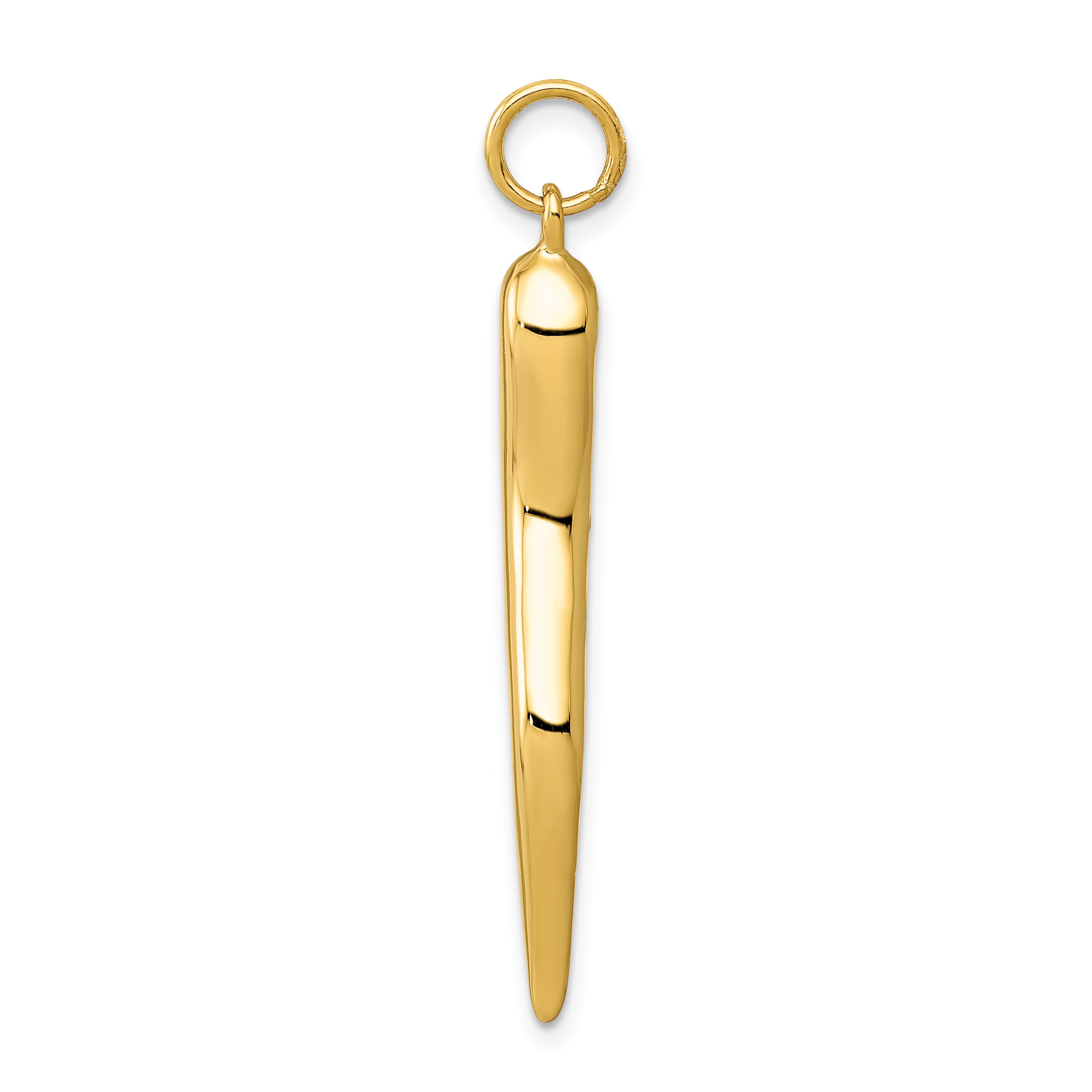 14K Gold Polished Men's 3D Italian Horn Pendant from Sophia Jewelers Secondary image