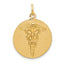 14k Caduceus Disc Charm