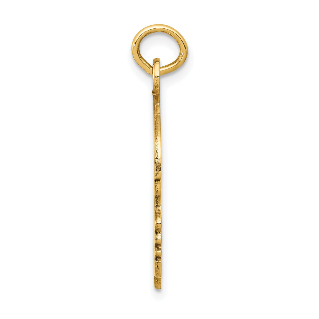 Sophia Jewelers 14K Gold Polished Boys Head Charm Elegant Women's Pendant