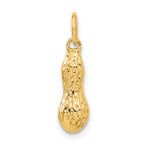 14K Gold Polished 3D Peanut Charm with Textured Finish by Sophia Jewelers