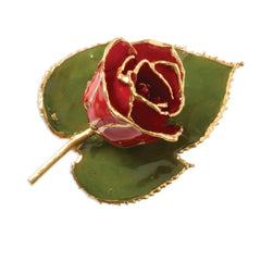 24k Gold Trim Red Rose Brooch