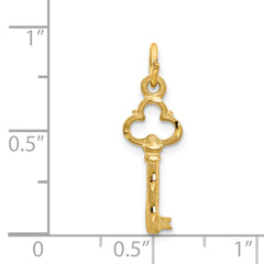 14K Polished Diamond-cut 3D Key Charm