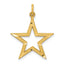 14k Diamond-cut Star Charm