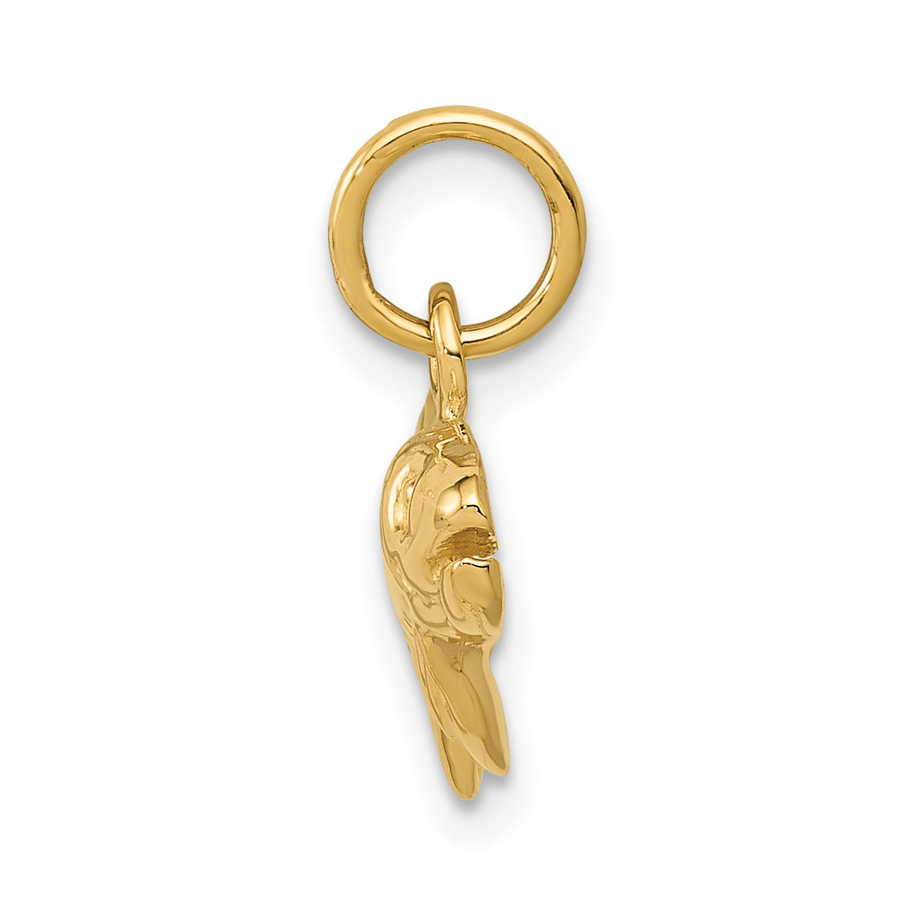 14K Yellow Gold Fish Charm Pendant for Men by Sophia Jewelers Secondary image