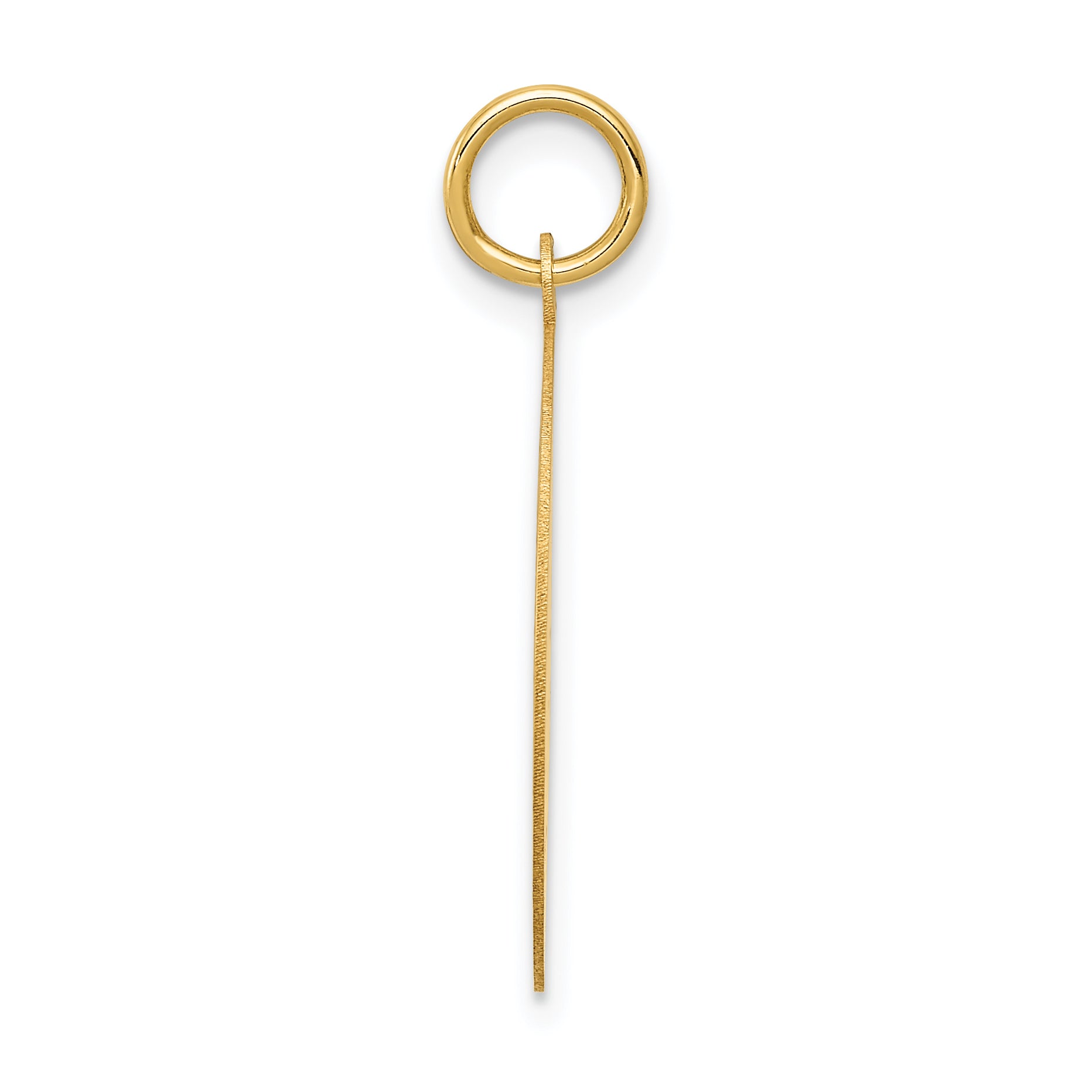 14K Gold Wrestling Disc Charm with Polished Finish Engravable Secondary image